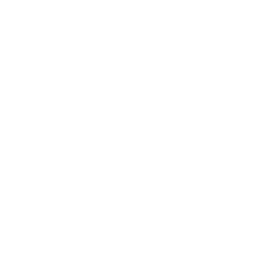 Multimedia